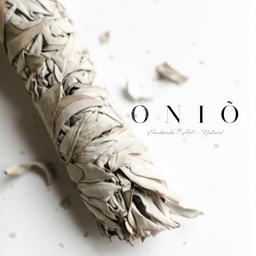 la-sage-trang-xo-thom-trang