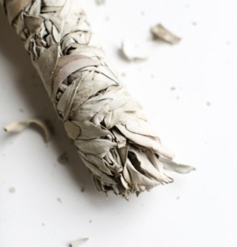 LÁ SAGE/LÁ XÔ THƠM thiên nhiên